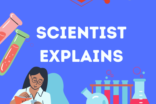Scientist Explains Blog