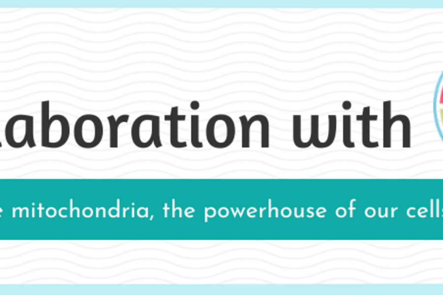 TDRA MITO2i collaboration